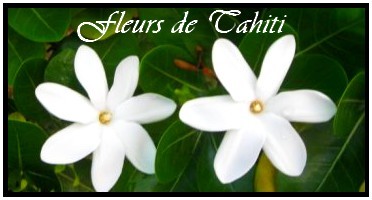 COLLECTION FLEURS DE TAHITI - BIJOUX NACRE-PERLES-KEISHIS de Tahiti MAG.SHOP