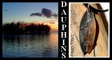 Bijoux Dauphins de TAHITI Collection Masculin MAG.SHOP TAHITI