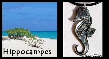 Bijoux Hippocampes de TAHITI Collection Masculin MAG.SHOP