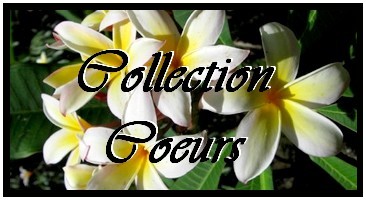 COLLECTION COEURS DE TAHITI PERLES-NACRES-KEISHIS DE TAHITI MAG.SHOP