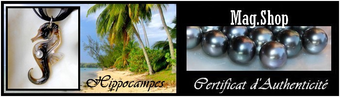 Collection Hippocampes Bijoux de Tahiti MAG.SHOP