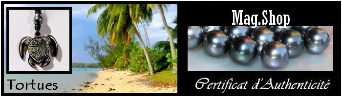 Collection Tortues Bijoux Hommes de Tahiti MAG.SHOP