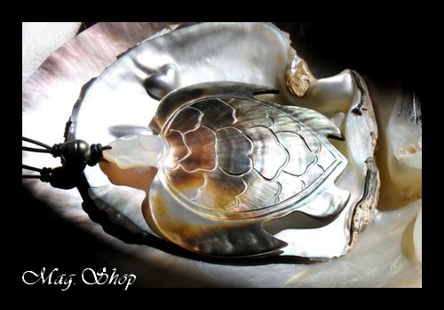 Collier Tortue & Perle Cerclée de Tahiti 9.5mmBC MAG.SHOP