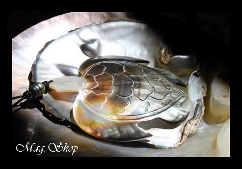 Collier Tortue & Perle Cerclée de Tahiti 9.5mmBC MAG.SHOP (6)