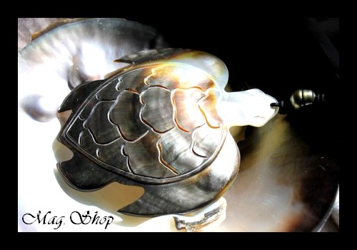 Collier Tortue & Perle Cerclée de Tahiti 9.5mmBC MAG.SHOP