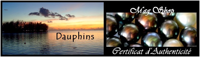 collection dauphins de tahiti MAG.SHOP