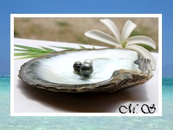 Heremoana / Hu&icirc;tre Pinctada Margaritifera Brut / Taille 10.5cm x 11.5cm + 3 Perles / 1 Ronde 12.35mm/B Gris / 1 Cercl&eacute;e 9.05mm/C Verts Fonc&eacute;s / 1 Drop 9.75mm/C+ Cr&egrave;mes (photos contractuelles)