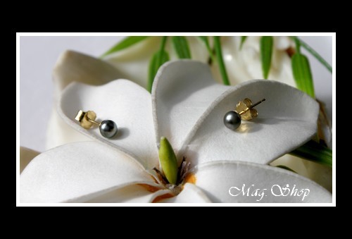 Keishis Collection  Boucles d`Oreilles KAMAKA OR 750  2 Perles Keihis de Tahiti MAG.SHOP