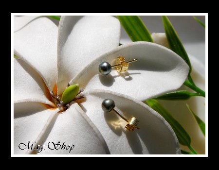Keishis Collection  Boucles d`Oreilles KAMAKA OR 750  2 Perles Keihis de Tahiti MAG.SHOP