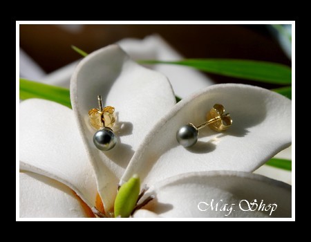 Keishis Collection  Boucles d`Oreilles KAMAKA OR 750  2 Perles Keihis de Tahiti MAG.SHOP