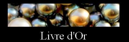 LIVRE D`OR MAG.SHOP