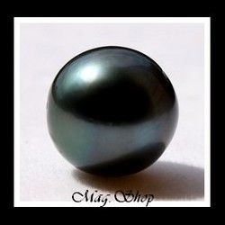 POE Metetini Collection / Perle Nue Ronde de Tahiti 11.85mm/C Verts Foncés (photos non contractuelles)