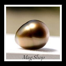 POE Mihinoa Collection / Perle Nue Cerclée de Tahiti 11.15mm/A Reflets Ocres (photos contractuelles)