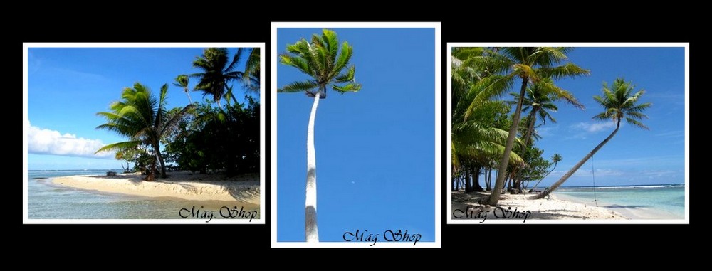 PLAGES TAHITI MAG.SHOP