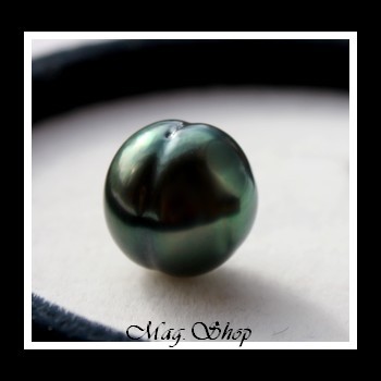 POE - Perle Cerclée de Tahiti  Modèle 1 MAG.SHOP