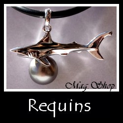 REQUINS Bijoux Masculins de Tahiti MAG.SHOP TAHITI