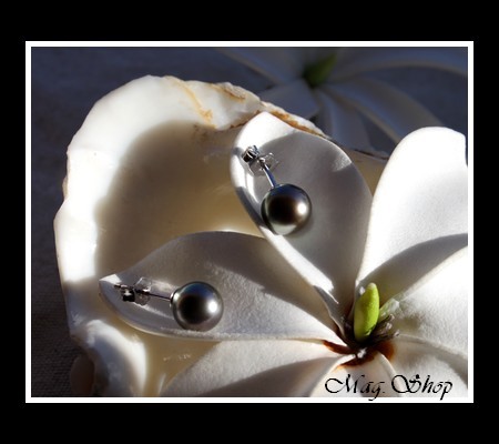 Silver Sea Collection Boucles D`Oreilles Kamaka Argent Rhodié 925 Perles Rondes de Tahiti MAG.SHOP TAHITI