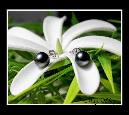 Silver Sea Collection Boucles d`Oreilles Kamaka Perles Rondes de Tahiti MAG.SHOP