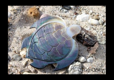Tortue Nacre de Tahiti de Collection Taille 10cm X 9 cm MAG.SHOP