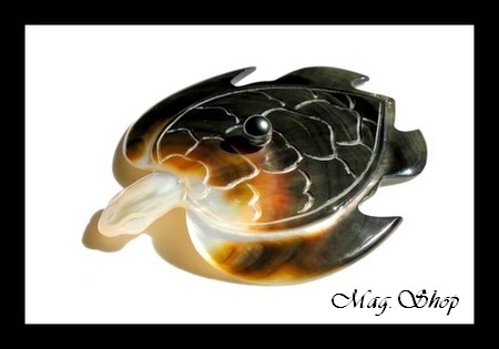Tortue de Collection Vitrine Nacre & Perle de Tahiti MAG.SHOP