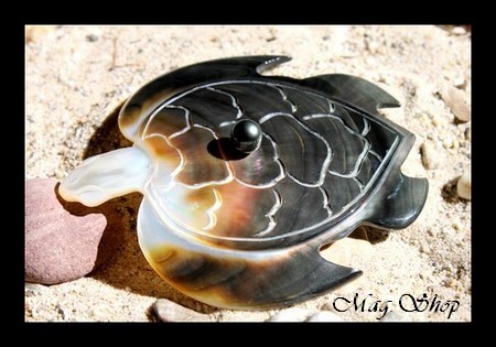 Tortue de Collection Vitrine Nacre & Perle de Tahiti MAG.SHOP