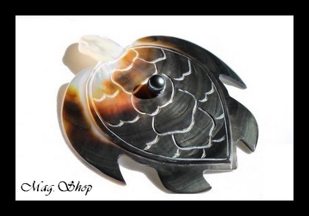 Tortue de Collection Vitrine Nacre & Perle de Tahiti MAG.SHOP