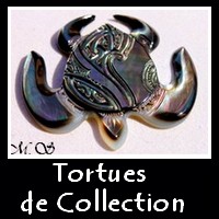 Tortues de Collection Vitrines MAG.SHOP TAHITI